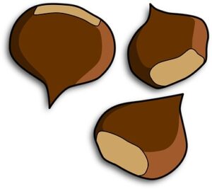 immagine di castagne