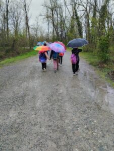 alunni con ombrello a spasso nel parco della preistoria Rivolta d'Adda